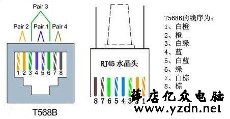 一根网线可以并2个水晶头吗？能同时连2台电脑吗？