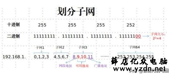 带菜鸟入门了解网络IP 、子网掩码 、路由器 、DNS知识