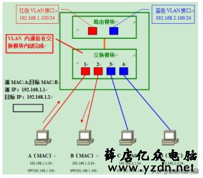 带菜鸟入门了解网络IP 、子网掩码 、路由器 、DNS知识