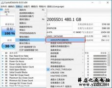 电脑卡顿?是不是这个设置毁了你的SSD硬盘