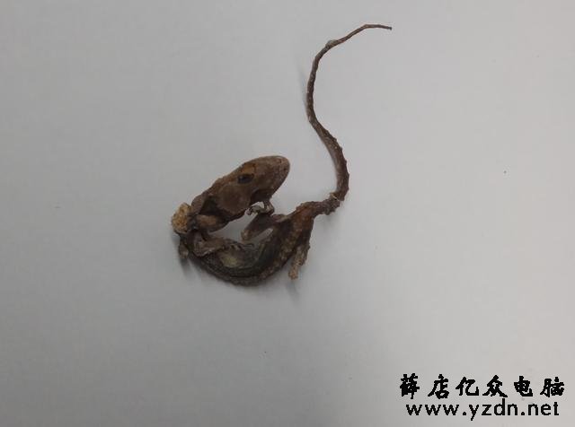 东芝复印机2006请求维修C452