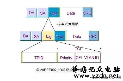 【最全】一文读懂交换机工作原理