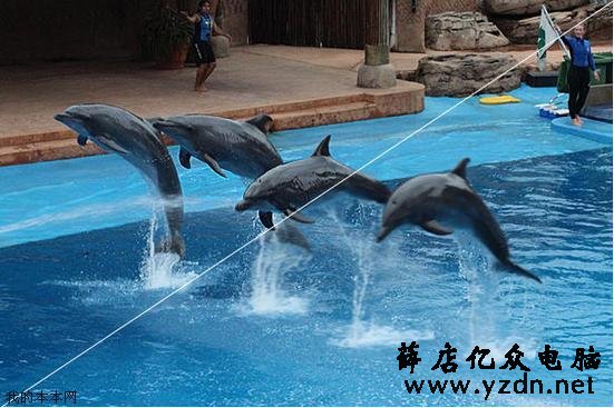 120Hz屏是否需要？浅谈高刷新率对游戏画面的影响