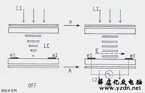 显示效果差多少？笔记本TN屏和IPS屏的区别介绍