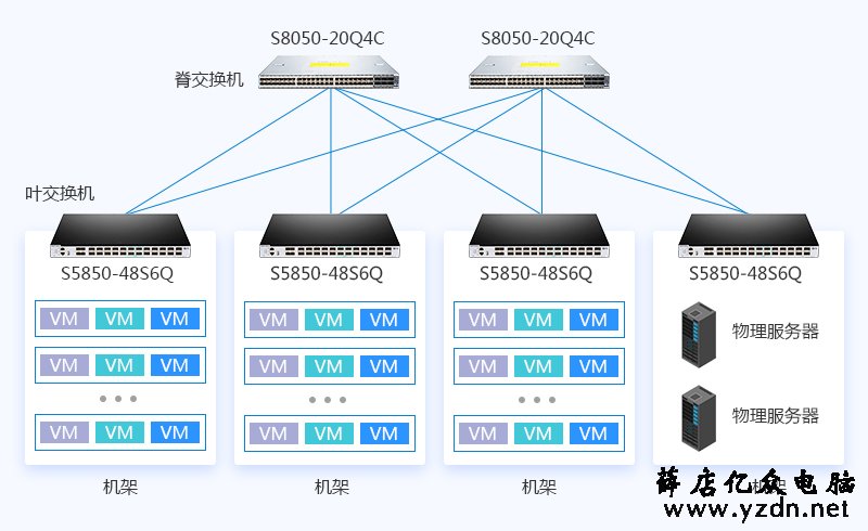 叶脊拓扑结构