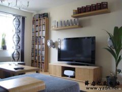 想要台大屏显示器 直接用电视行不行