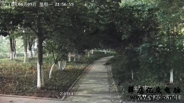 如何选型红外、星光、黑光、全彩夜视摄像头?读懂这篇足够